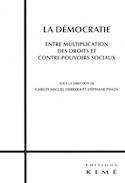 Démocratie, entre multiplication des droits et contre-pouvoirs sociaux